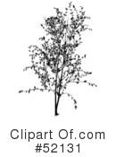 Tree Clipart #52131 by dero