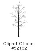 Tree Clipart #52132 by dero