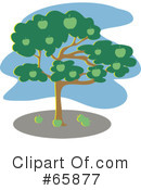 Tree Clipart #65877 by Prawny