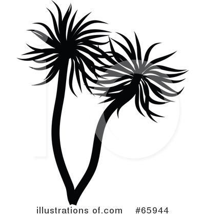 Palm Trees Clipart #65944 by Prawny