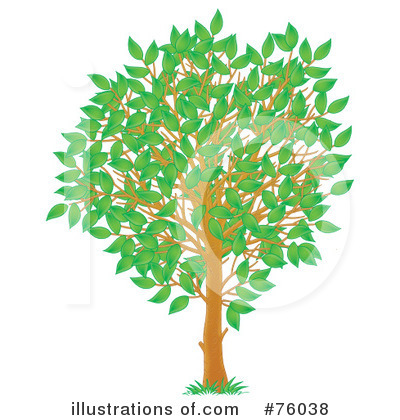 Royalty-Free (RF) Tree Clipart Illustration by Alex Bannykh - Stock Sample #76038