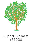 Tree Clipart #76038 by Alex Bannykh