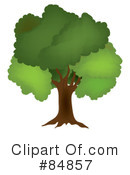 Tree Clipart #84857 by Pams Clipart