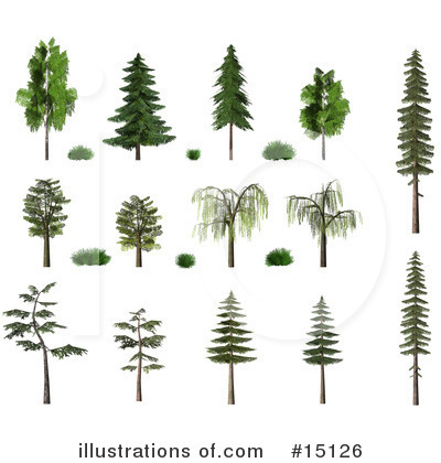 Free Clipart Of Trees. Trees Clipart #15126 by