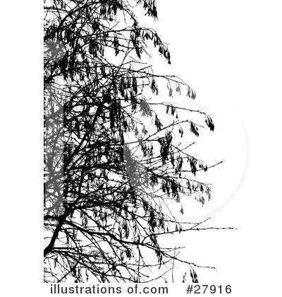 Tree Branch Clipart #27916 by KJ Pargeter