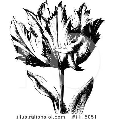 Floral Clipart #1115051 by Prawny Vintage