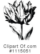 Tulip Clipart #1115051 by Prawny Vintage