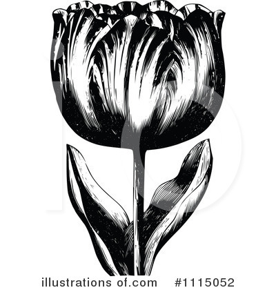 Tulip Clipart #1115052 by Prawny Vintage