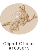 Turkey Bird Clipart #1093819 by patrimonio