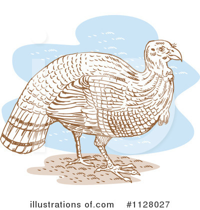 Royalty-Free (RF) Turkey Bird Clipart Illustration by patrimonio - Stock Sample #1128027