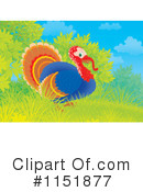 Turkey Bird Clipart #1151877 by Alex Bannykh