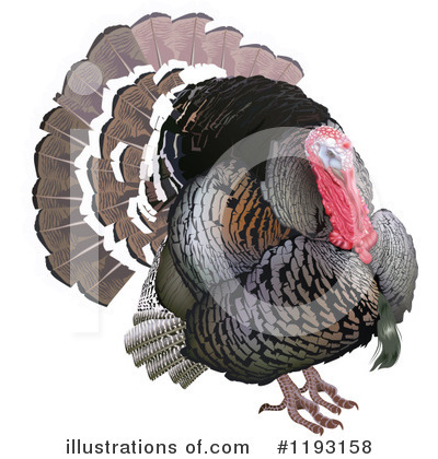 Royalty-Free (RF) Turkey Bird Clipart Illustration by dero - Stock Sample #1193158