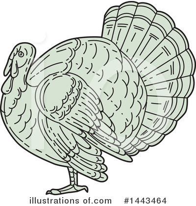 Turkey Bird Clipart #1443464 by patrimonio