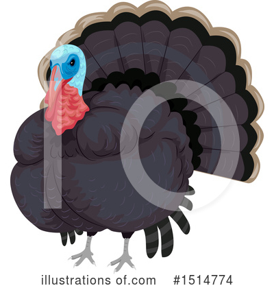 Turkey Bird Clipart #1514774 by BNP Design Studio
