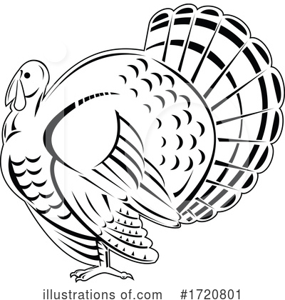 Turkey Bird Clipart #1720801 by patrimonio