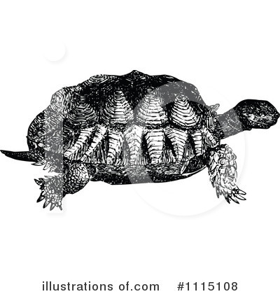 Royalty-Free (RF) Turtle Clipart Illustration by Prawny Vintage - Stock Sample #1115108