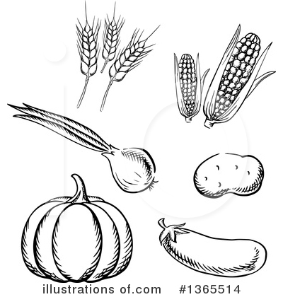 Royalty-Free (RF) Vegetable Clipart Illustration by Vector Tradition SM - Stock Sample #1365514