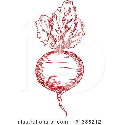 Royalty-Free (RF) Vegetable Clipart Illustration by Vector Tradition SM - Stock Sample #1388212