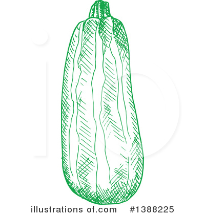 Zucchini Clipart #1388225 by Vector Tradition SM