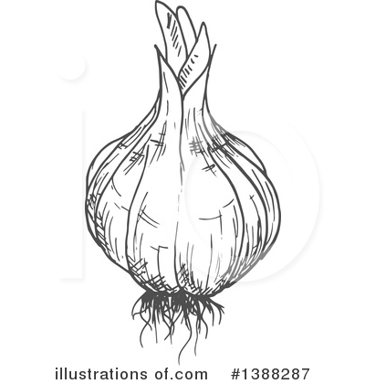 Royalty-Free (RF) Vegetable Clipart Illustration by Vector Tradition SM - Stock Sample #1388287