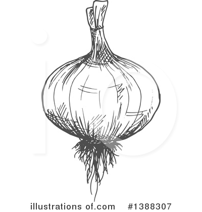 Royalty-Free (RF) Vegetable Clipart Illustration by Vector Tradition SM - Stock Sample #1388307