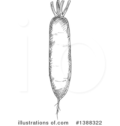 Daikon Radish Clipart #1388322 by Vector Tradition SM