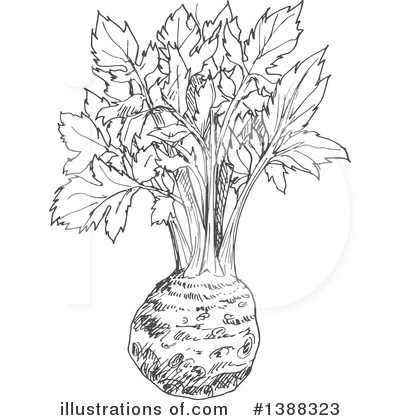 Royalty-Free (RF) Vegetable Clipart Illustration by Vector Tradition SM - Stock Sample #1388323