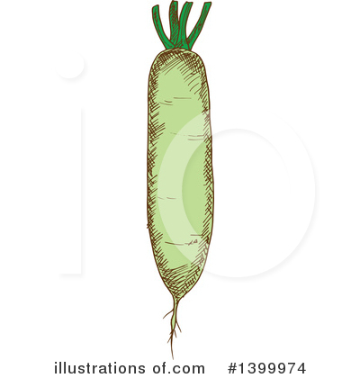Daikon Clipart #1399974 by Vector Tradition SM