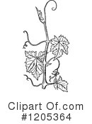 Vine Clipart #1205364 by Prawny Vintage