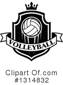 Volleyball Clipart #1314832 by Vector Tradition SM