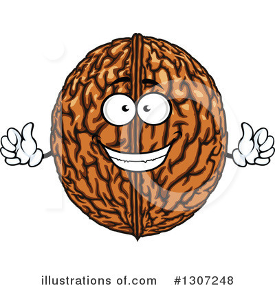Royalty-Free (RF) Walnut Clipart Illustration by Vector Tradition SM - Stock Sample #1307248