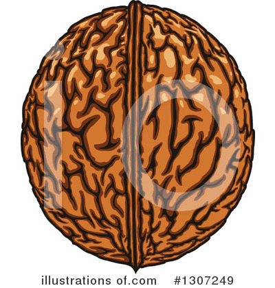 Royalty-Free (RF) Walnut Clipart Illustration by Vector Tradition SM - Stock Sample #1307249