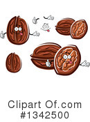 Walnut Clipart #1342500 by Vector Tradition SM