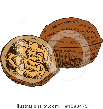 Royalty-Free (RF) Walnut Clipart Illustration by Vector Tradition SM - Stock Sample #1390475