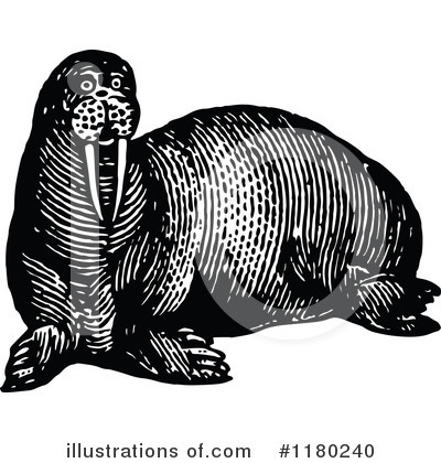 Royalty-Free (RF) Walrus Clipart Illustration by Prawny Vintage - Stock Sample #1180240