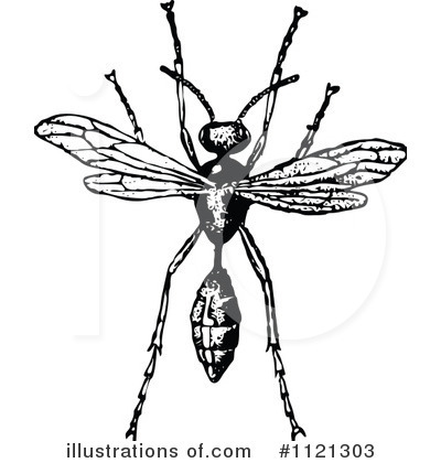 Wasp Clipart #1121303 by Prawny Vintage