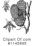 Wasp Clipart #1145895 by Prawny Vintage