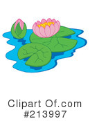 Water Lily Clipart #213997 by visekart