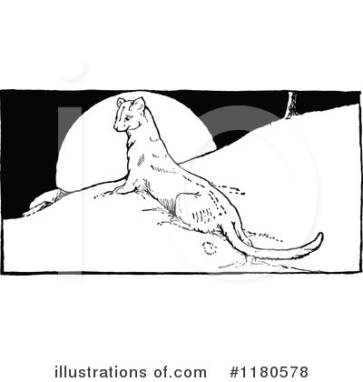 Royalty-Free (RF) Weasel Clipart Illustration by Prawny Vintage - Stock Sample #1180578