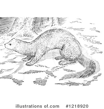 Royalty-Free (RF) Weasel Clipart Illustration by Picsburg - Stock Sample #1218920