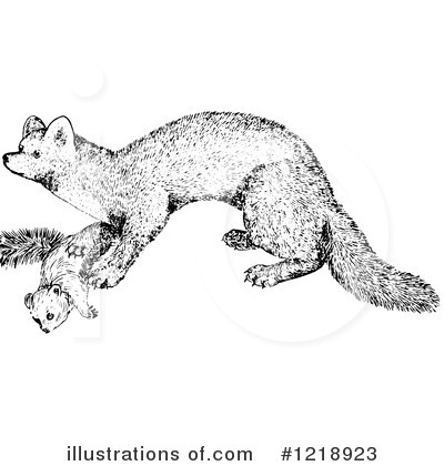 Royalty-Free (RF) Weasel Clipart Illustration by Picsburg - Stock Sample #1218923