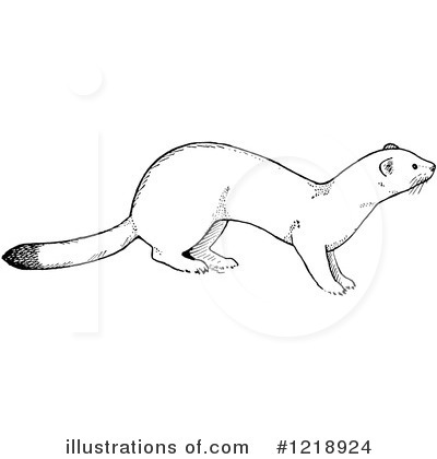 Royalty-Free (RF) Weasel Clipart Illustration by Picsburg - Stock Sample #1218924