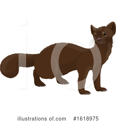 Royalty-Free (RF) Weasel Clipart Illustration by Vector Tradition SM - Stock Sample #1618975