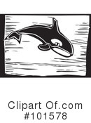 Whale Clipart #101578 by xunantunich