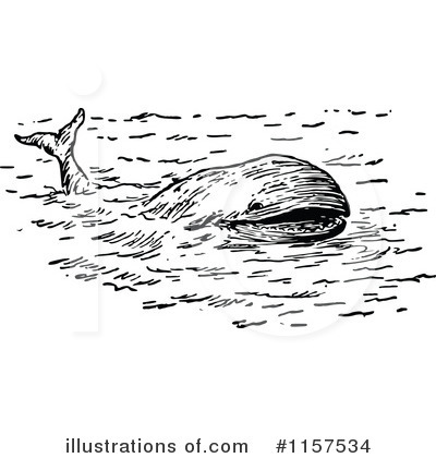 Royalty-Free (RF) Whale Clipart Illustration by Prawny Vintage - Stock Sample #1157534