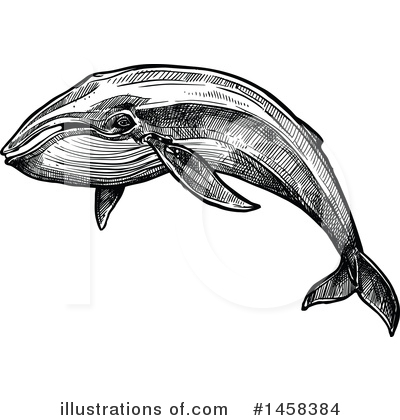 Royalty-Free (RF) Whale Clipart Illustration by Vector Tradition SM - Stock Sample #1458384