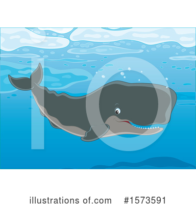 Sperm Whale Clipart #1573591 by Alex Bannykh