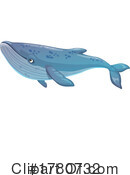 Whale Clipart #1780732 by Vector Tradition SM