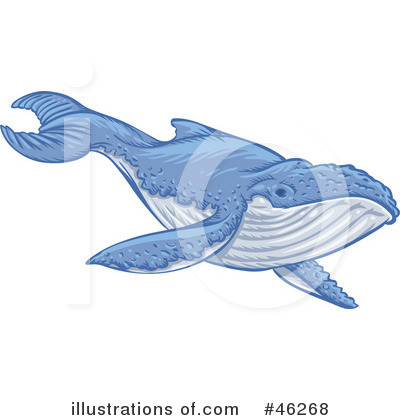 Royalty-Free (RF) Whale Clipart Illustration by Tonis Pan - Stock Sample #46268