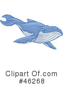 Whale Clipart #46268 by Tonis Pan